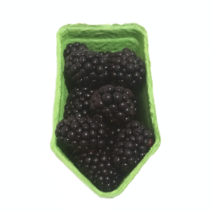 Blackberries