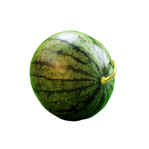 Καρπουζάκια Baby  - Baby Watermelon