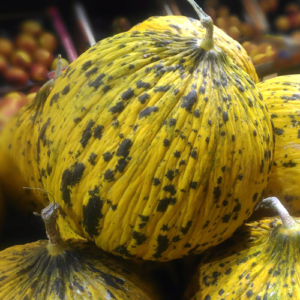 Πεπόνια Θρακιώτικα  / Thraki's melon