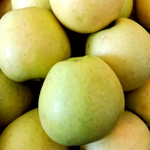 Μήλα Golden  -  Golden delicius Apples
