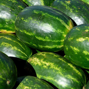 Καρπούζια  - Watermelon