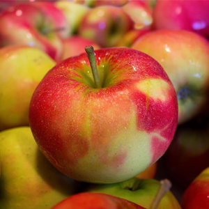 Μήλα Gala  -  Gala Apples