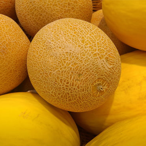 Πεπόνια  - Melon