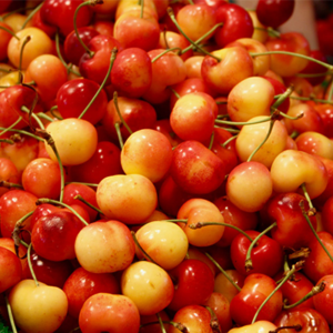 Πετροκέρασα  - Wild Cherries