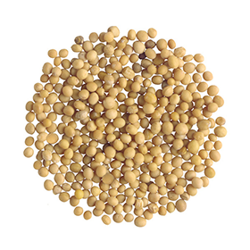 Σινάπι κίτρινο  - Yellow mustard seeds