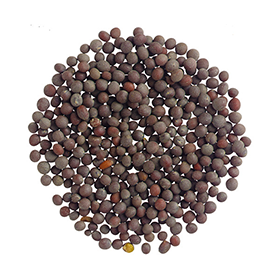 Σινάπι μαύρο -  Black mustard seeds